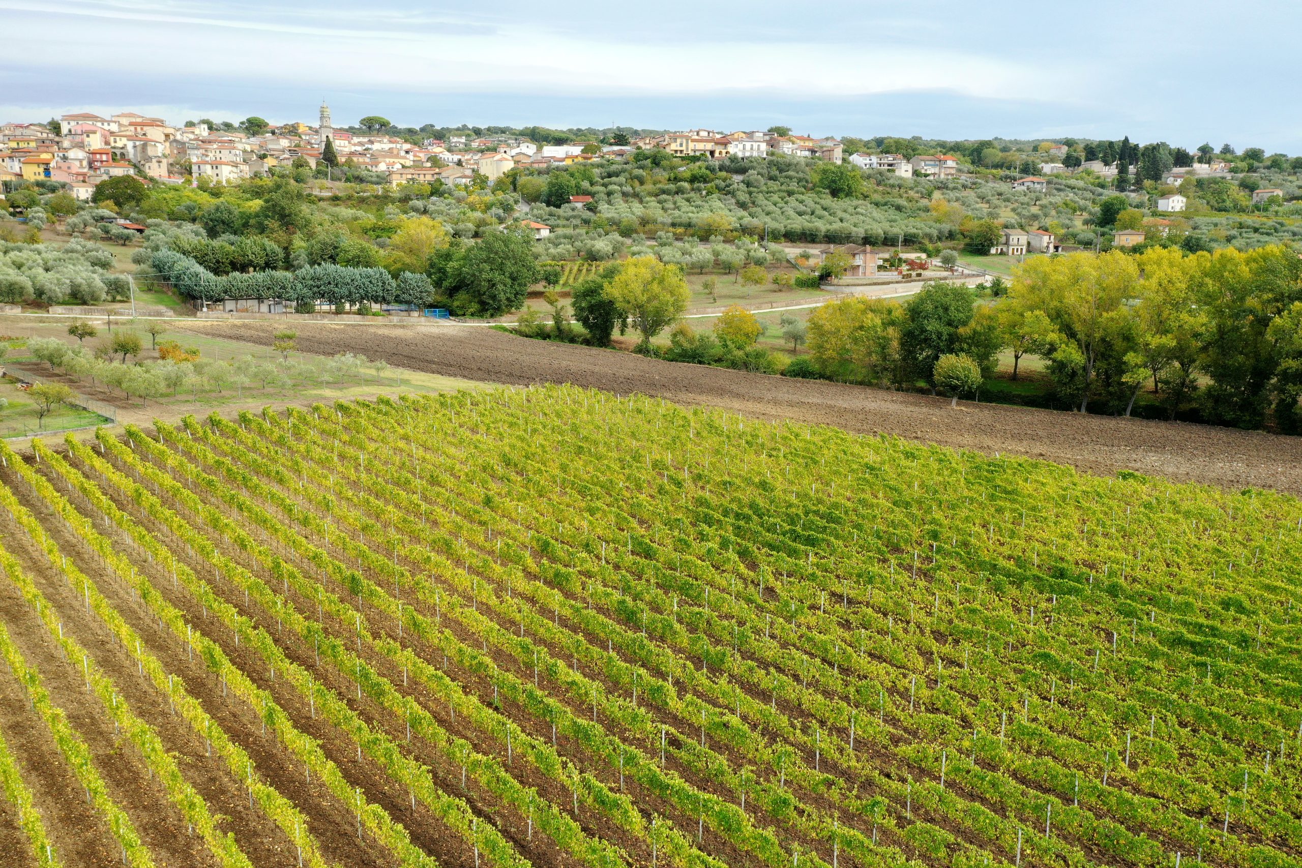 Vini Antica Hirpinia