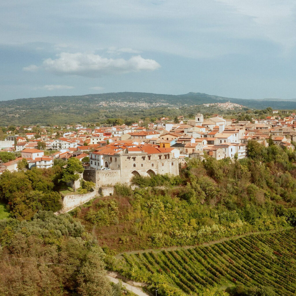 Livello 4
