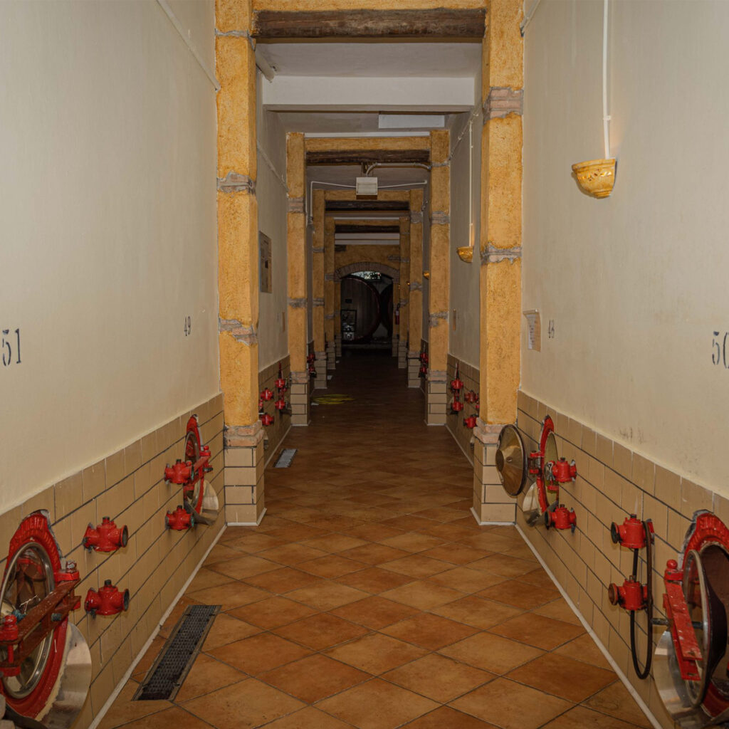 Livello 6