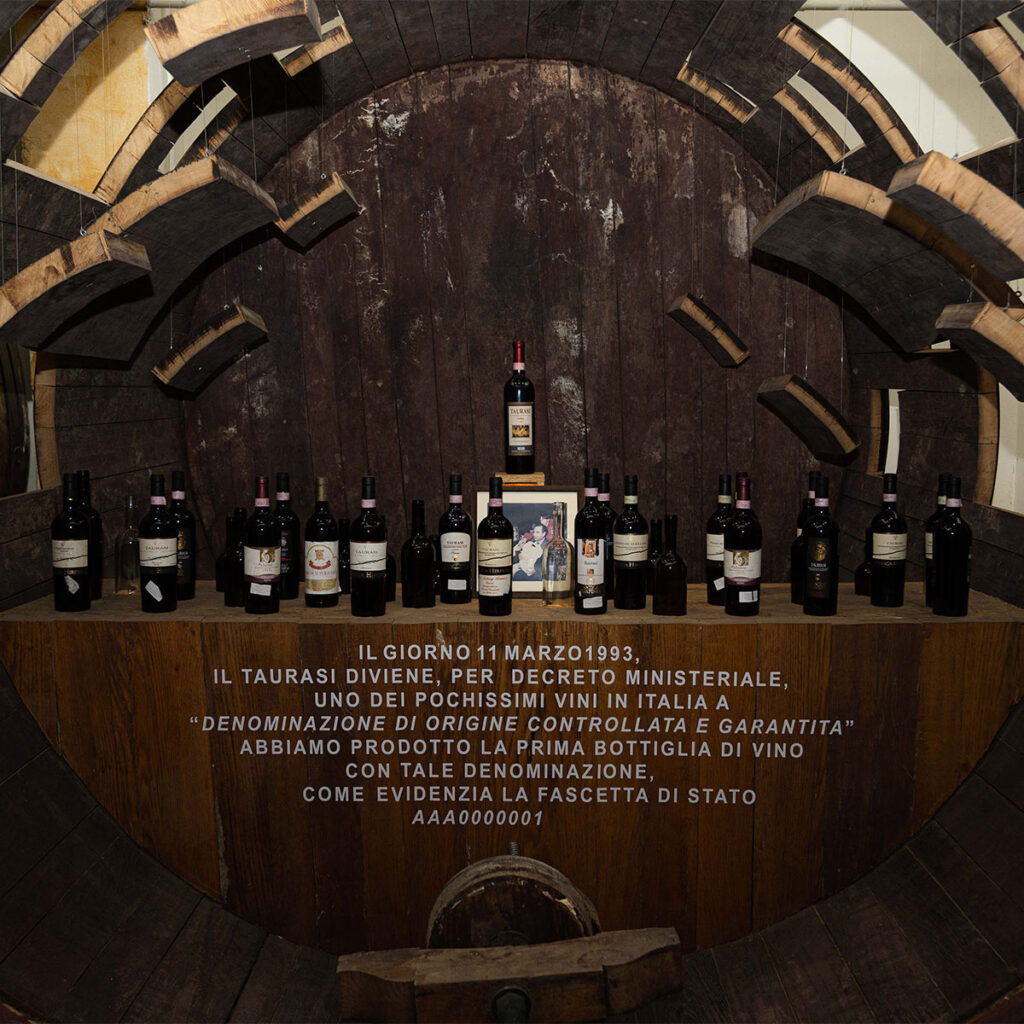 Livello 7